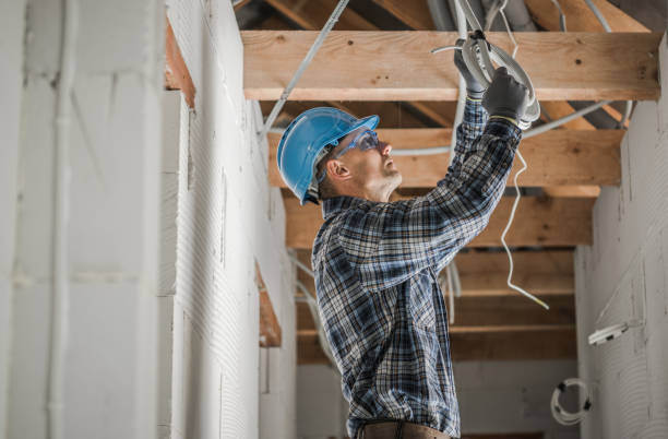 Best Electric Panel Repair  in , MN