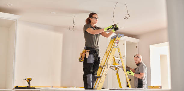 Best Electrician for Home Renovation  in , MN